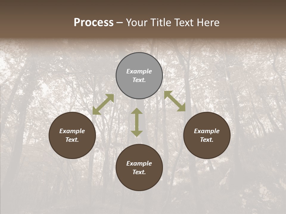 Sepia Country Forest PowerPoint Template