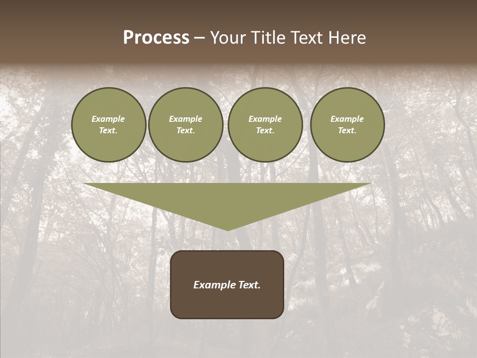 Sepia Country Forest PowerPoint Template