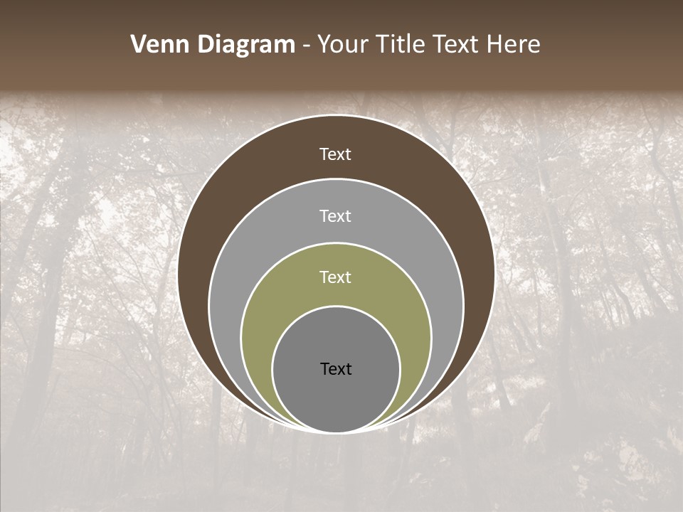 Sepia Country Forest PowerPoint Template