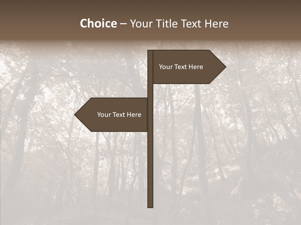 Sepia Country Forest PowerPoint Template
