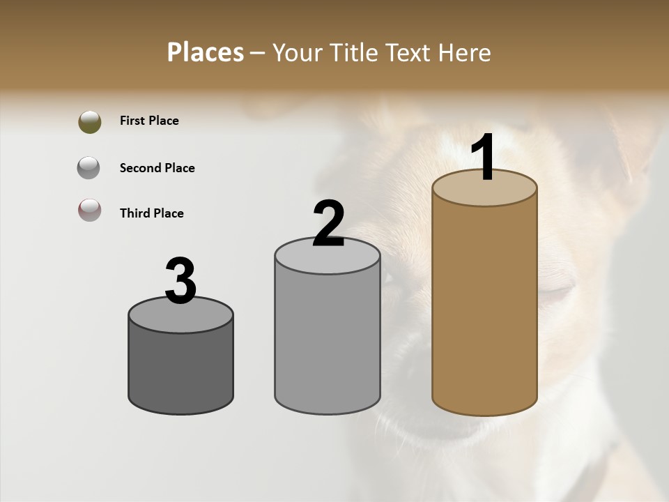 Whiskers Dog Small PowerPoint Template