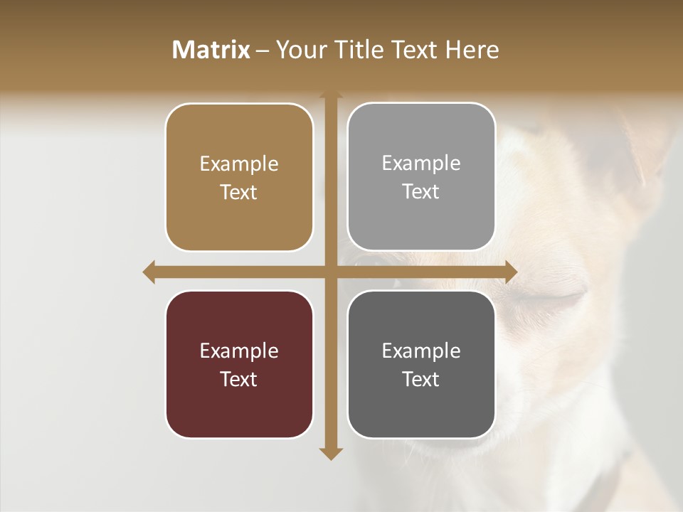 Whiskers Dog Small PowerPoint Template