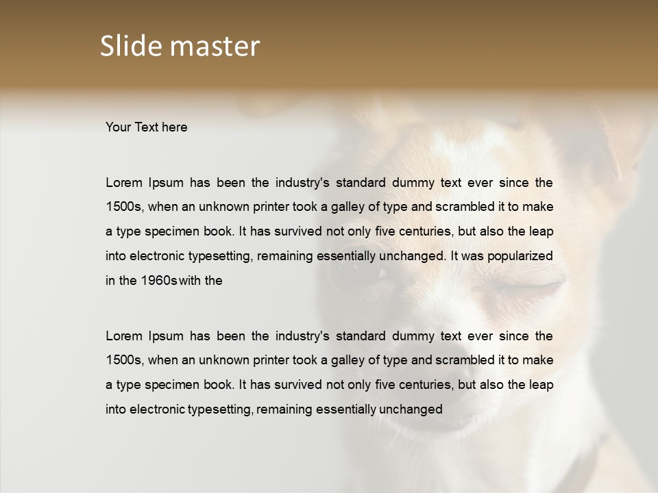 Whiskers Dog Small PowerPoint Template