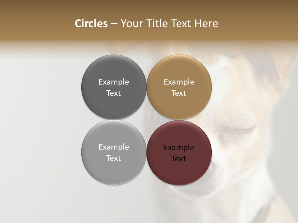 Whiskers Dog Small PowerPoint Template