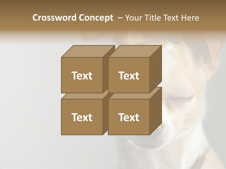 Whiskers Dog Small PowerPoint Template