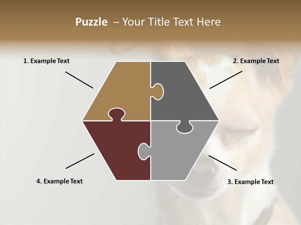 Whiskers Dog Small PowerPoint Template