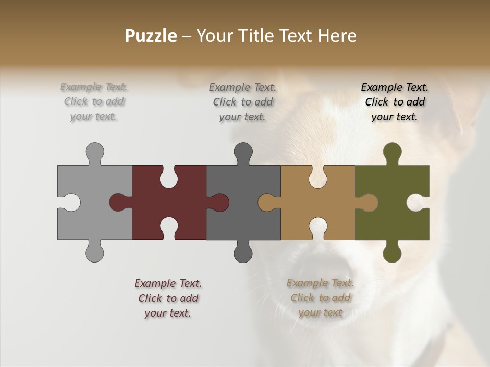 Whiskers Dog Small PowerPoint Template