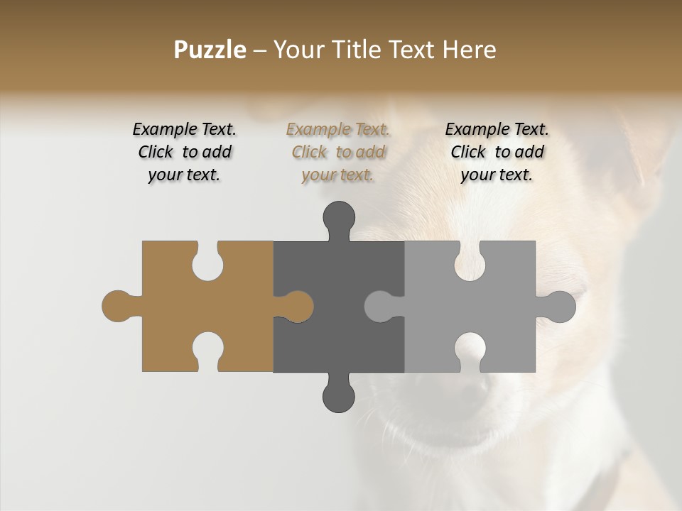Whiskers Dog Small PowerPoint Template