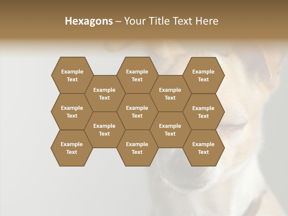 Whiskers Dog Small PowerPoint Template