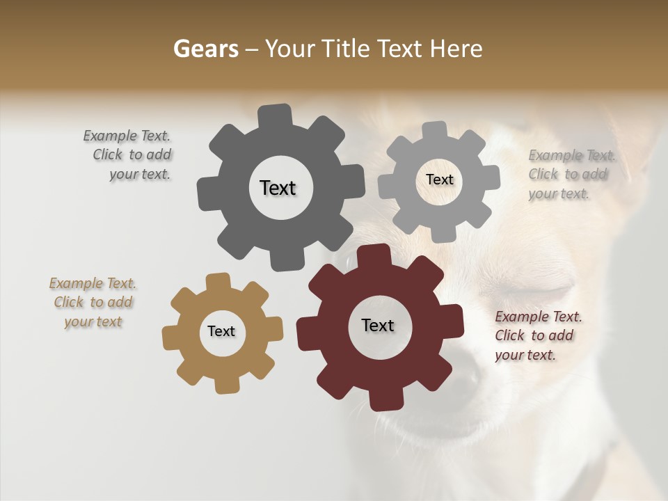 Whiskers Dog Small PowerPoint Template