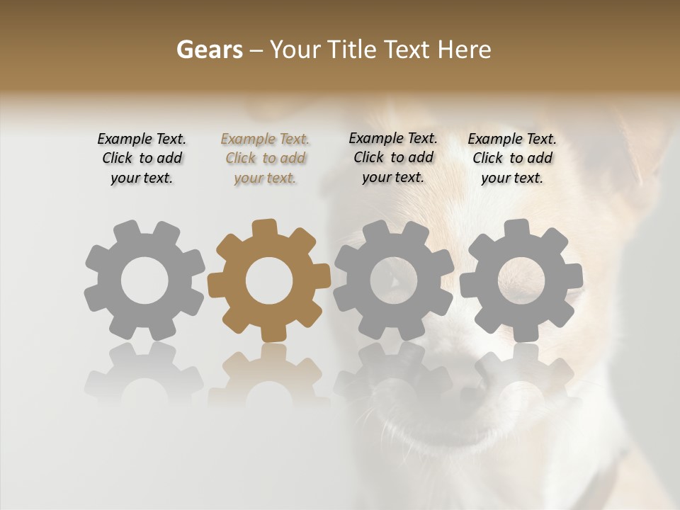 Whiskers Dog Small PowerPoint Template