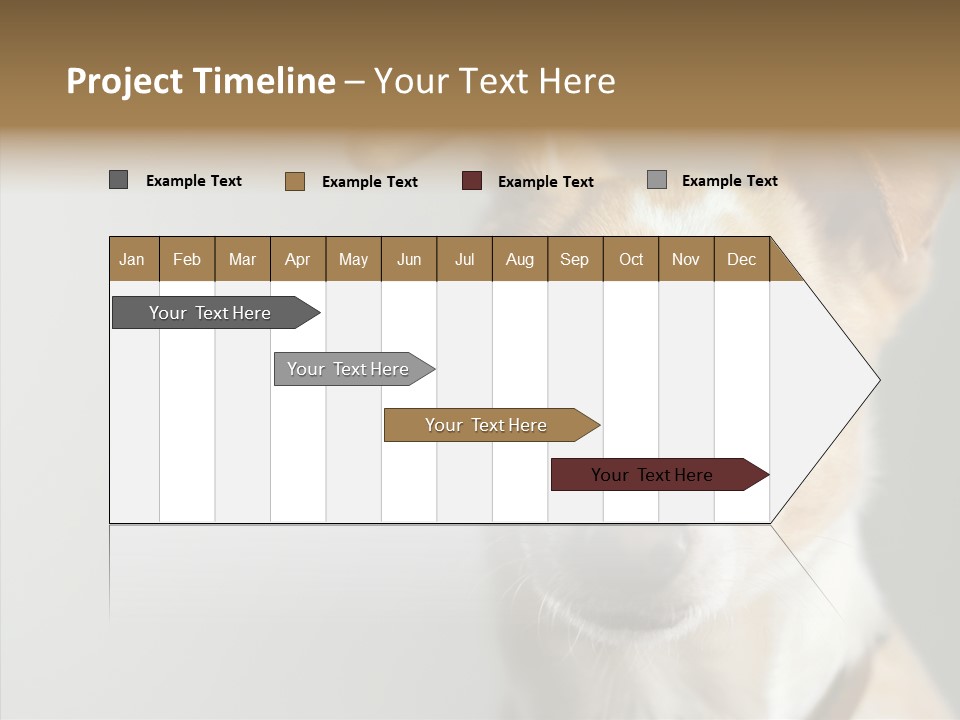 Whiskers Dog Small PowerPoint Template