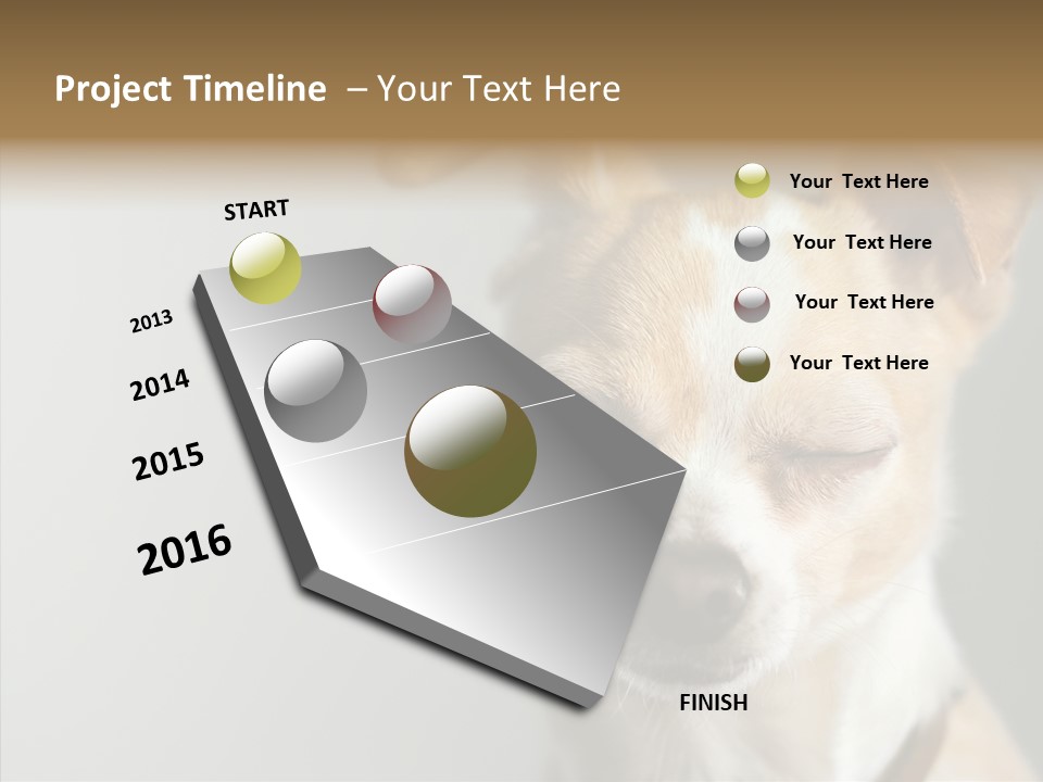 Whiskers Dog Small PowerPoint Template