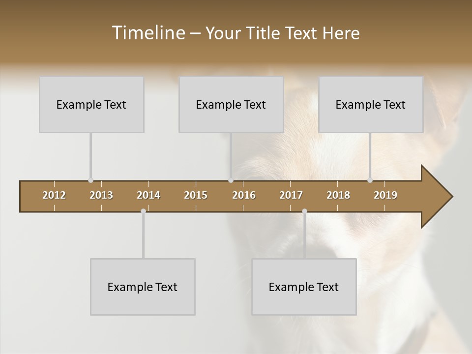 Whiskers Dog Small PowerPoint Template