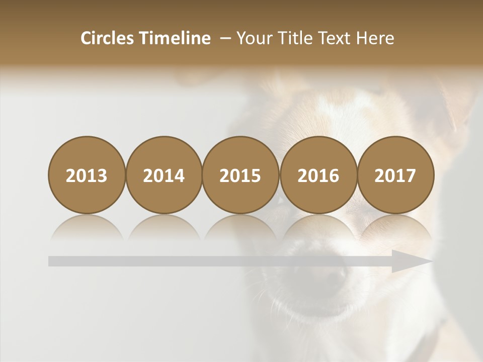 Whiskers Dog Small PowerPoint Template