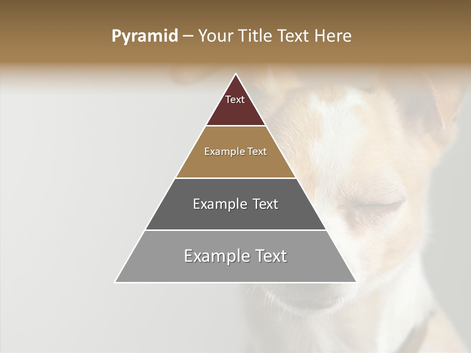 Whiskers Dog Small PowerPoint Template