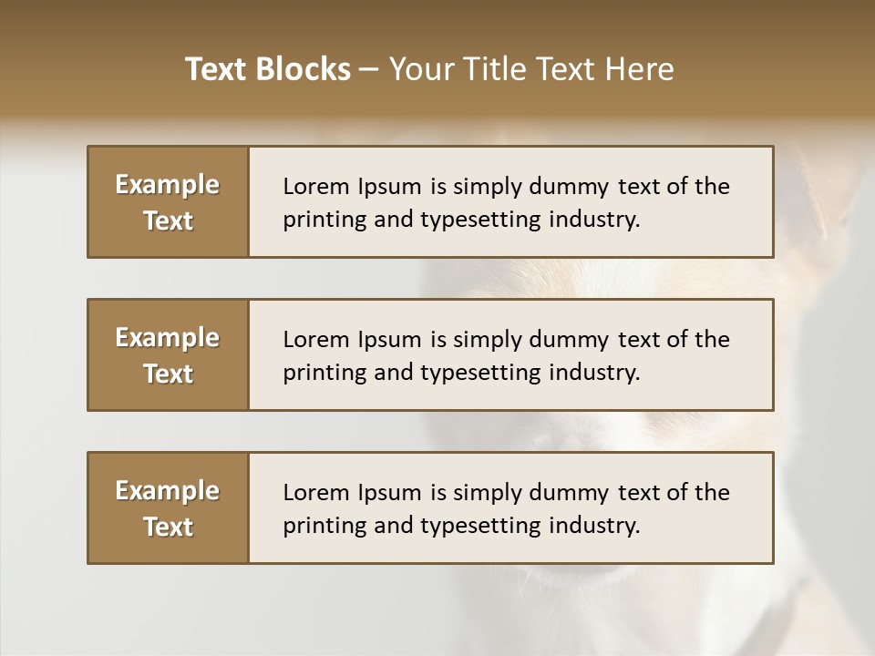 Whiskers Dog Small PowerPoint Template