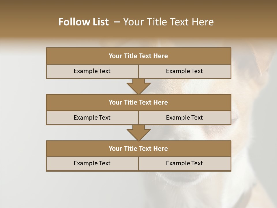 Whiskers Dog Small PowerPoint Template