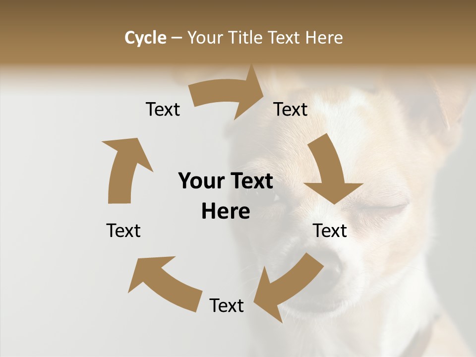 Whiskers Dog Small PowerPoint Template