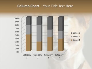 Whiskers Dog Small PowerPoint Template