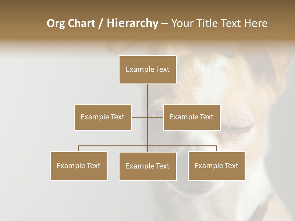 Whiskers Dog Small PowerPoint Template