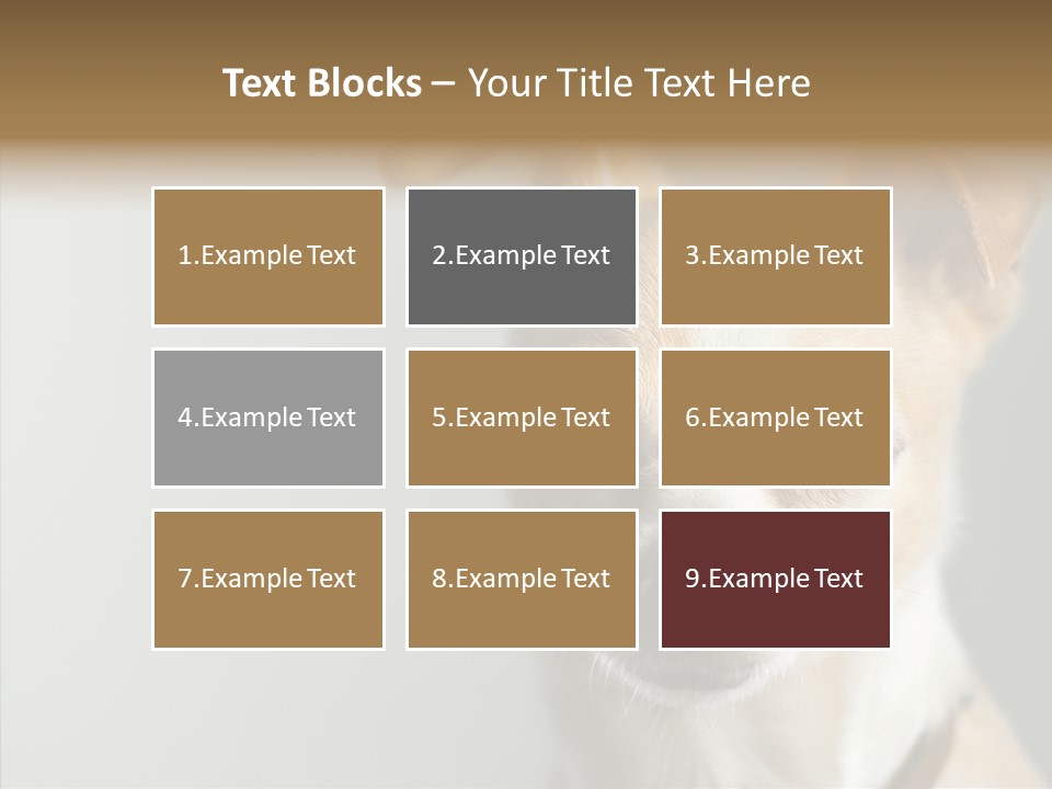 Whiskers Dog Small PowerPoint Template