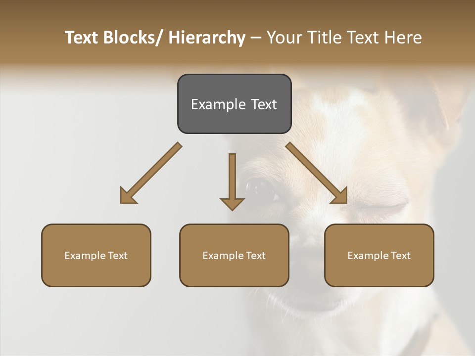 Whiskers Dog Small PowerPoint Template