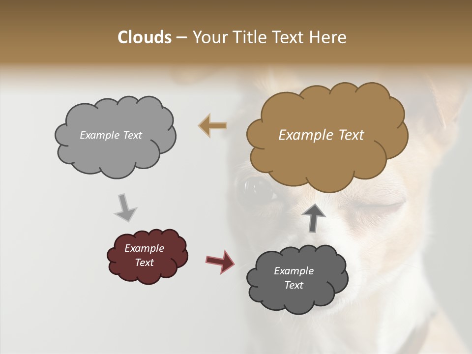 Whiskers Dog Small PowerPoint Template