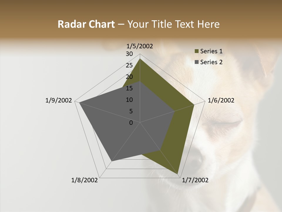 Whiskers Dog Small PowerPoint Template