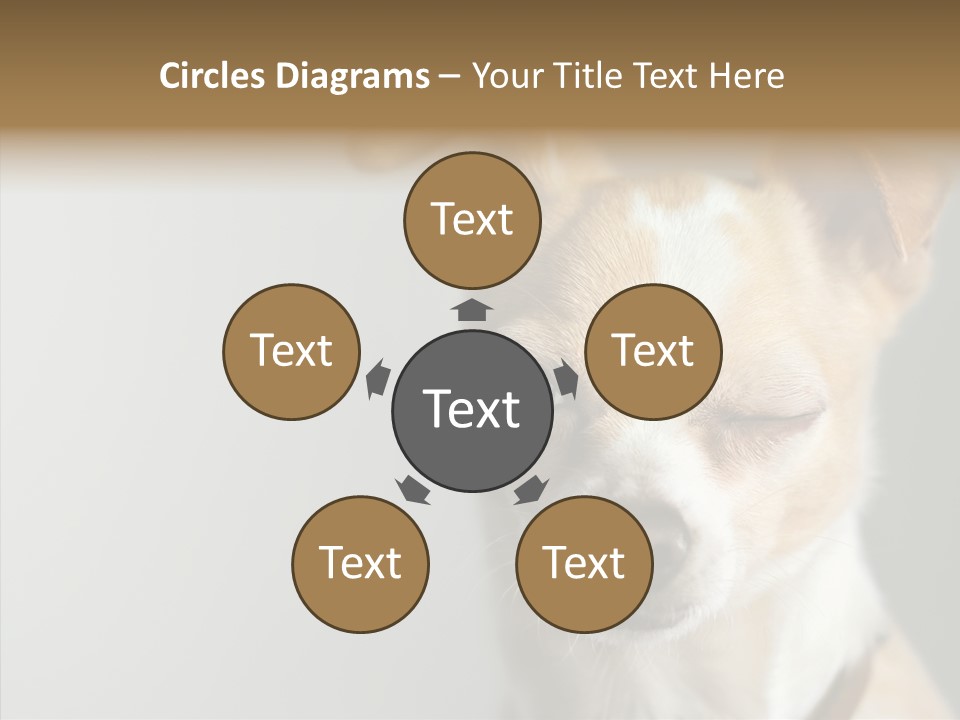 Whiskers Dog Small PowerPoint Template