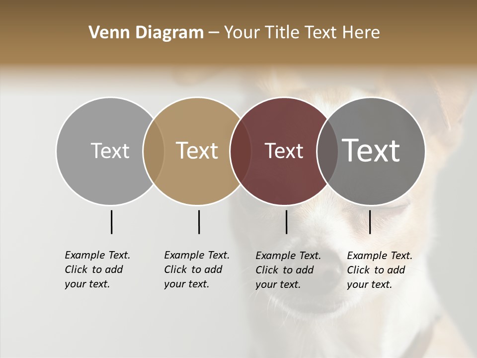 Whiskers Dog Small PowerPoint Template