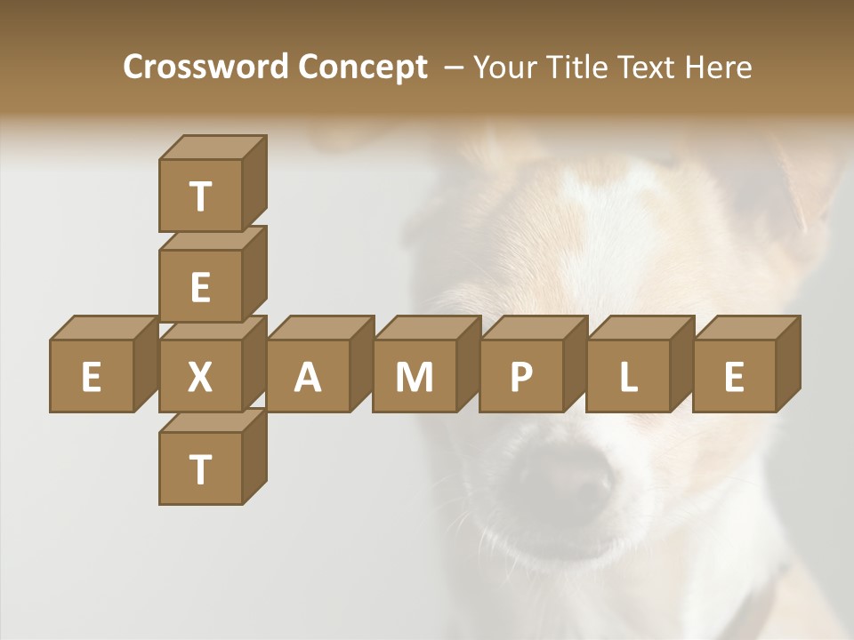 Whiskers Dog Small PowerPoint Template