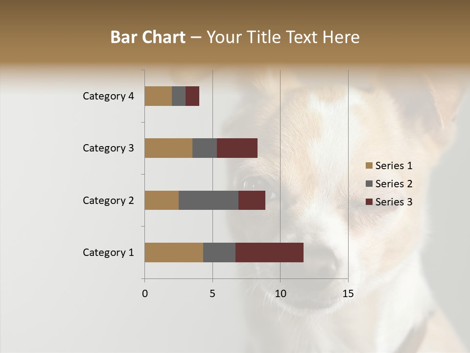 Whiskers Dog Small PowerPoint Template