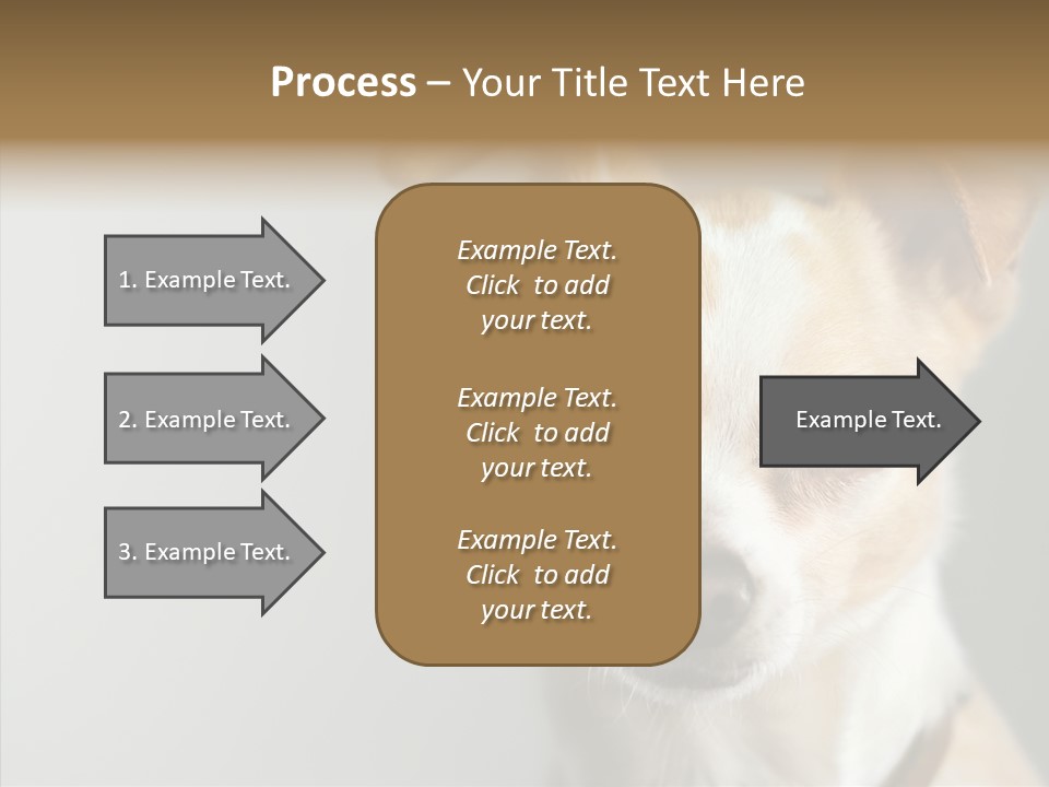 Whiskers Dog Small PowerPoint Template