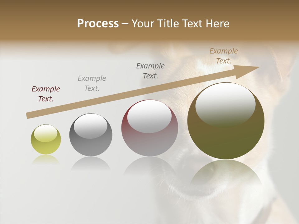 Whiskers Dog Small PowerPoint Template