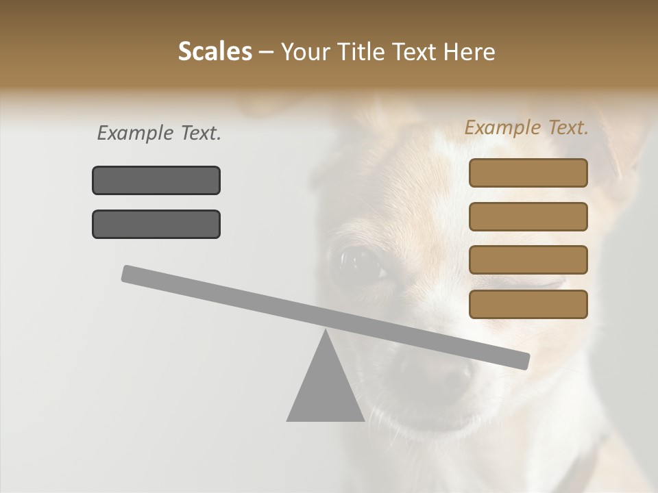 Whiskers Dog Small PowerPoint Template