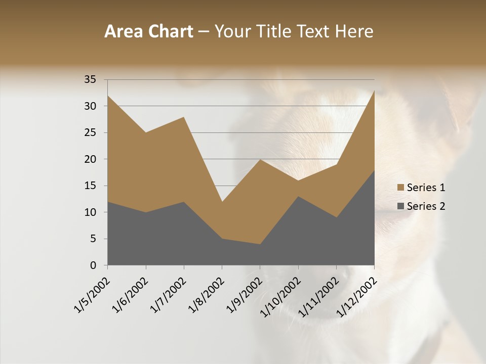 Whiskers Dog Small PowerPoint Template
