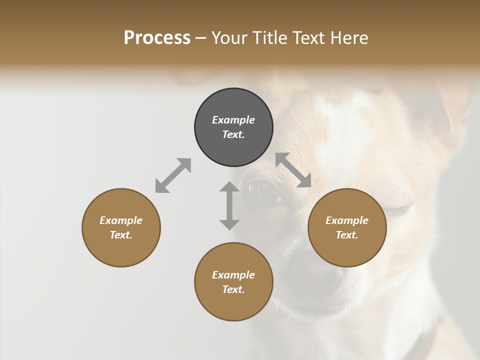 Whiskers Dog Small PowerPoint Template