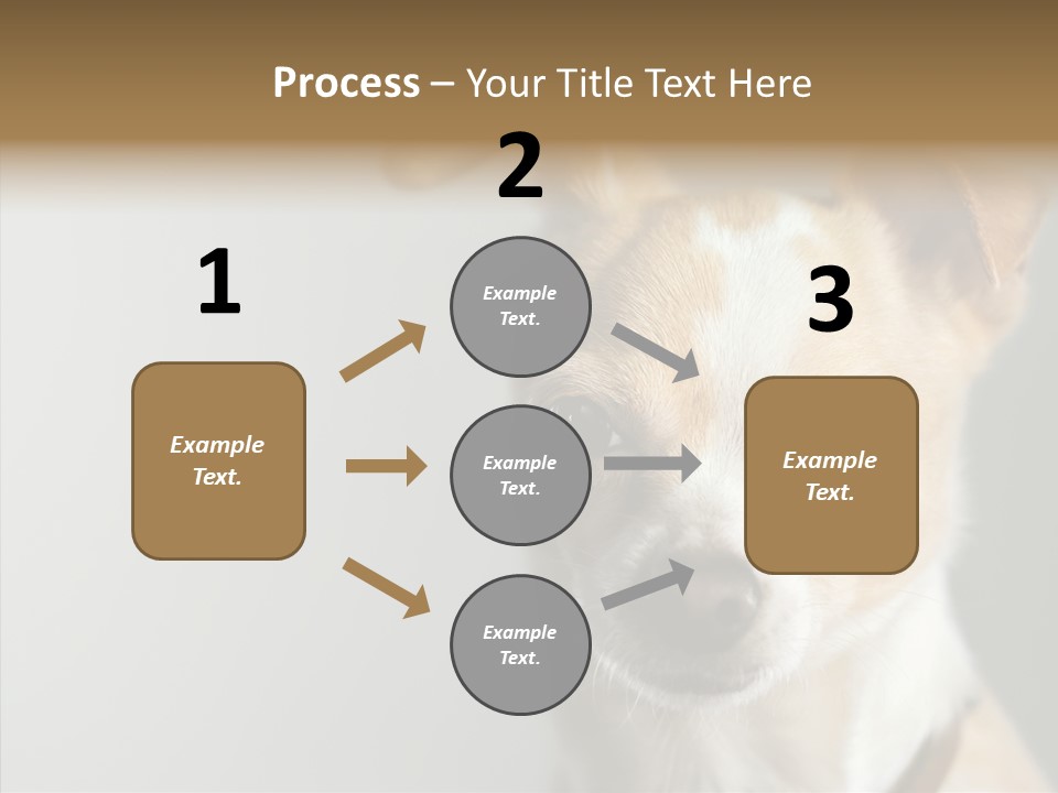 Whiskers Dog Small PowerPoint Template