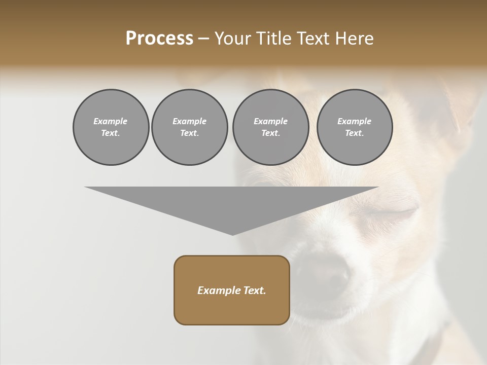 Whiskers Dog Small PowerPoint Template