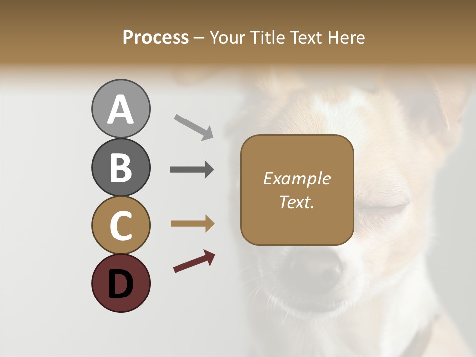 Whiskers Dog Small PowerPoint Template