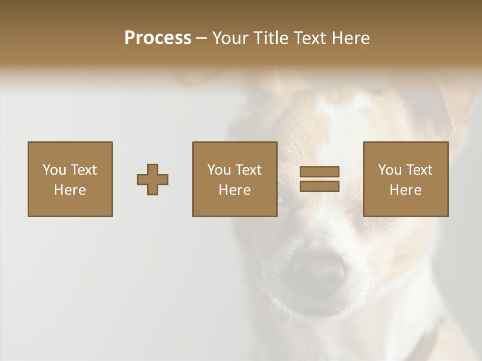 Whiskers Dog Small PowerPoint Template