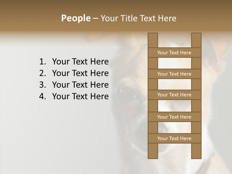 Whiskers Dog Small PowerPoint Template