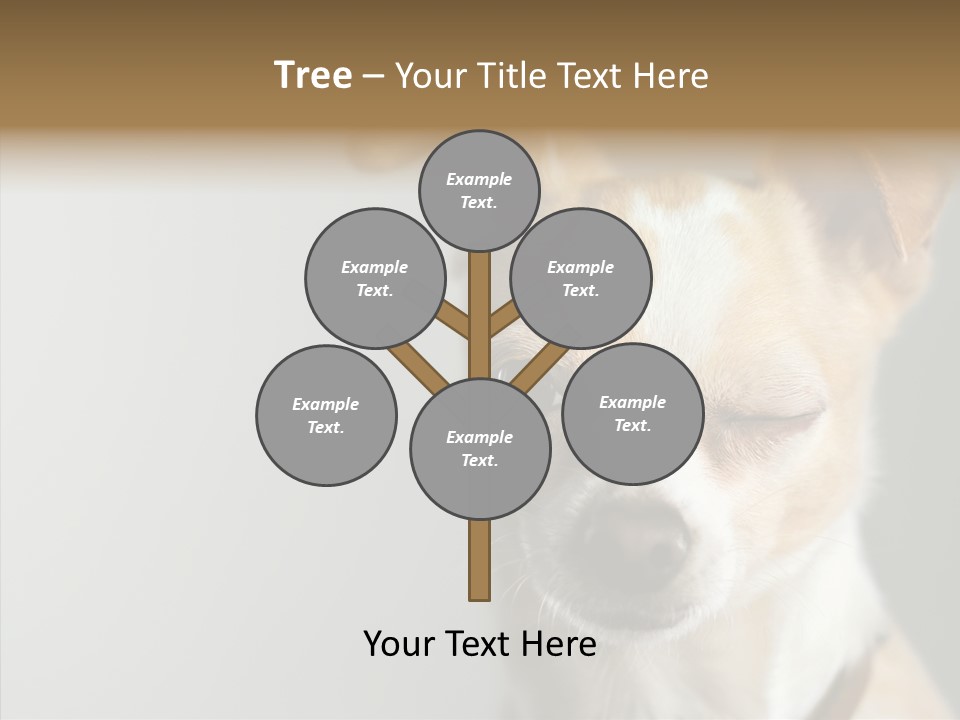 Whiskers Dog Small PowerPoint Template