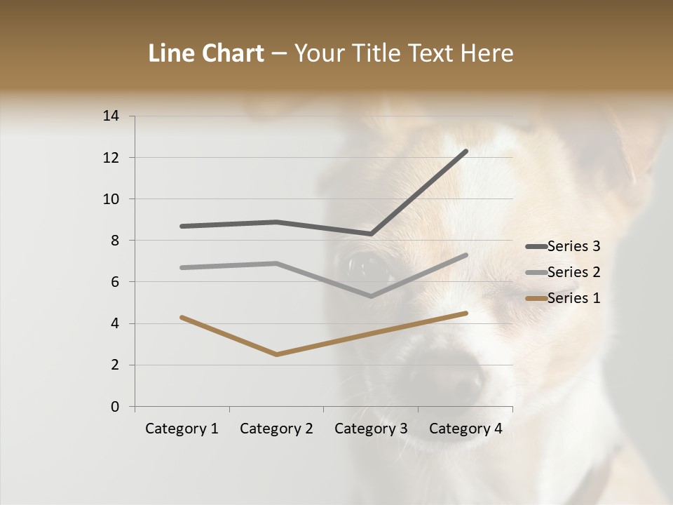 Whiskers Dog Small PowerPoint Template