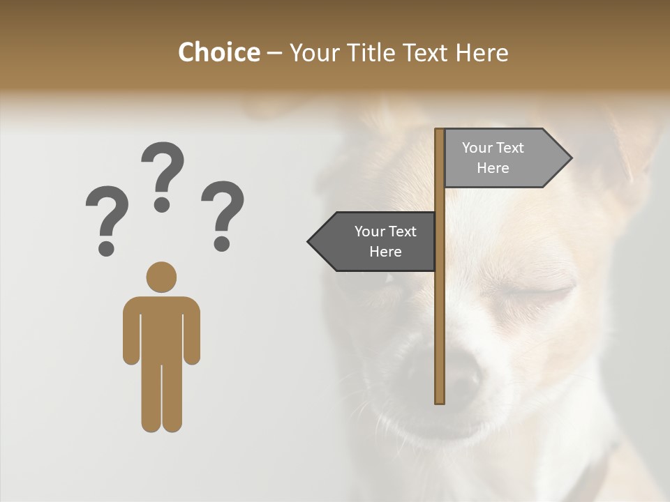 Whiskers Dog Small PowerPoint Template