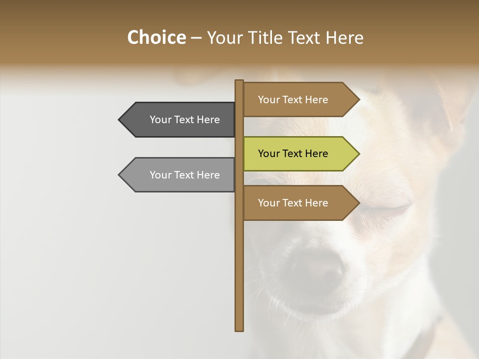 Whiskers Dog Small PowerPoint Template