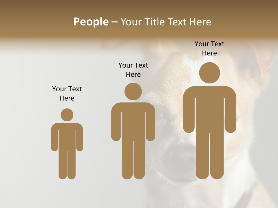 Whiskers Dog Small PowerPoint Template