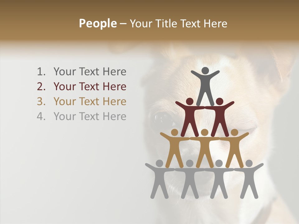 Whiskers Dog Small PowerPoint Template