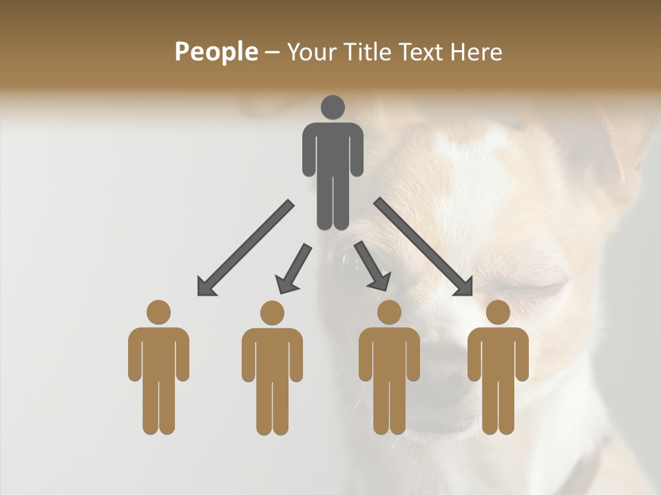 Whiskers Dog Small PowerPoint Template